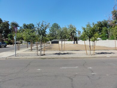Maple Lot 045