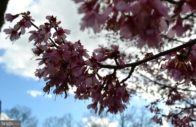 2058 Mimosa Ln, Pottstown, PA 19464 - photo 7