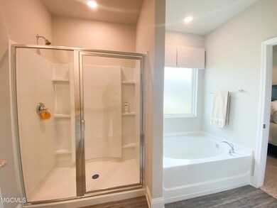 separate tub & shower