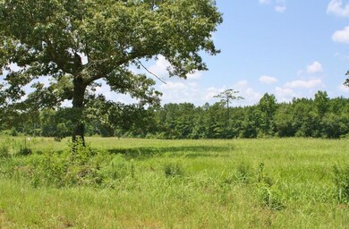 Lot 59 Sundance Ln, Franklinton, LA 70438 - photo 3