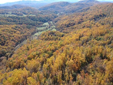 0 Lexington Turnpike unit 342098, Oronoco, VA 24521 - photo 5