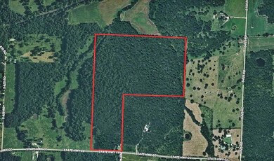 6745 E Highway Cc, Stockton, MO 65785 - photo 6