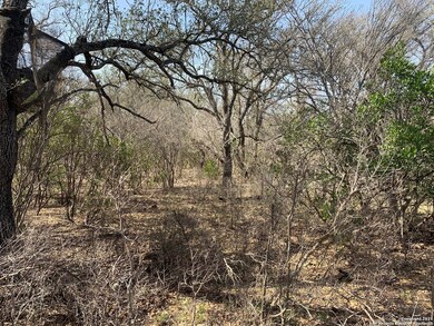 601 County Road 241, Hondo, TX 78861 - photo 3