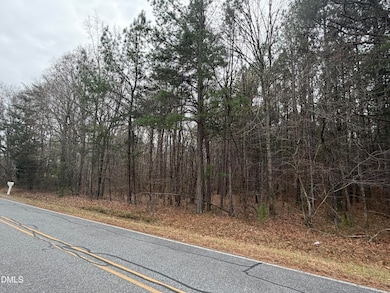 0 Martin Loop Rd, Siler City, NC 27344 - photo 3