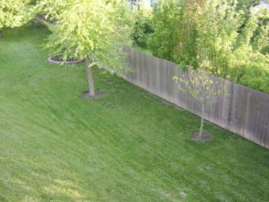 chambray backyard