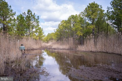 0 Andrews Rd unit MDDO2004556, Crapo, MD 21626 - photo 7