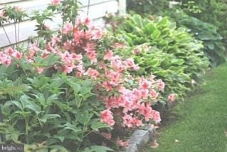 2423 Kemper Rd, Crofton, MD 21114 - photo 3