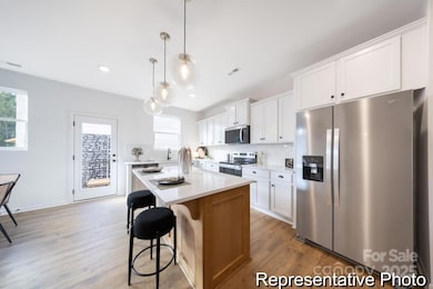 11800 Avocet St unit 57, Charlotte, NC 28215 - photo 3