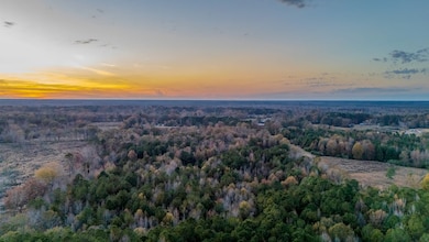 0000 Pettey Rd, Forest, MS 39074 - photo 4