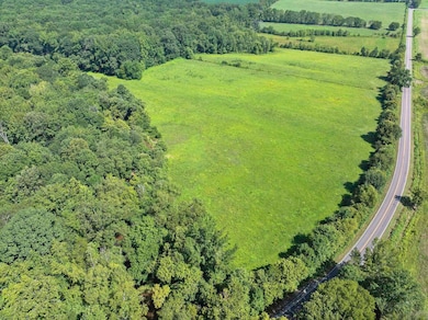 00 Cub Creek Hall Rd, Parsons, TN 38363 - photo 2