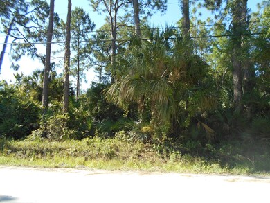 0 Palm Ave, Cocoa, FL 32922 - photo 2