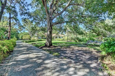 Driveway lined with mature and shading trees