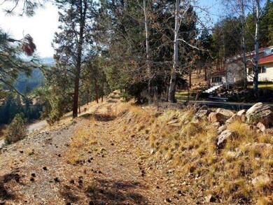 view lot 5