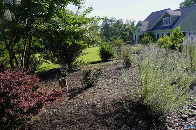 266 Ridgeview Dr, Ruckersville, VA 22968 - photo 4