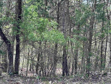 0 Off Dovewood Ln unit 22007754, Flippin, AR 72634 - photo 7