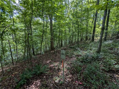 TBD Mayhand Rd, Shirley, AR 72153 - photo 7