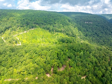 1-web-or-mls-DJI_20250711080536_0775_D-1