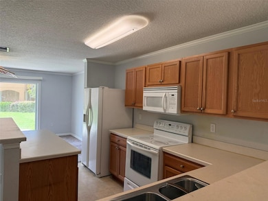 6907 Marble Fawn Place, Riverview, FL 33578 - photo 6