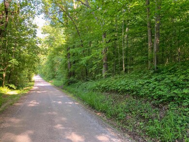 IMG_1040 copy