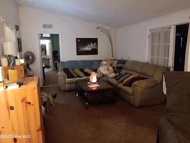 825 Putnam Church Rd, Carthage, NC 28327 - photo 3