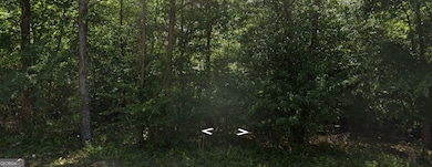 3911 Mountain Way Cove, Snellville, GA 30039 - photo 2