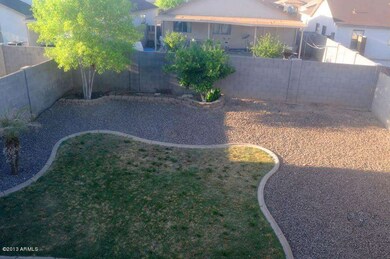 Back yard