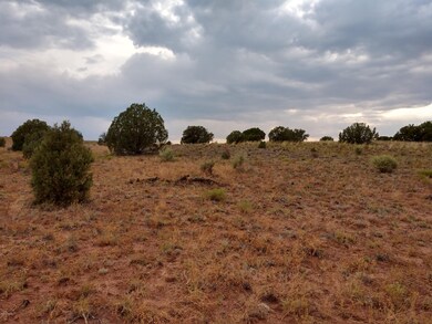 IMG_20190729_170019208_HDR