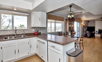 Kitchen Open to Family Room