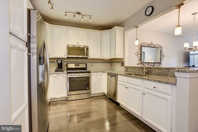 510 Quarry View Ct unit 208, Reisterstown, MD 21136 - photo 3
