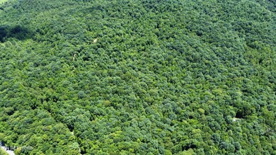 Photo Jul 10 2023, 2 18 02 PM