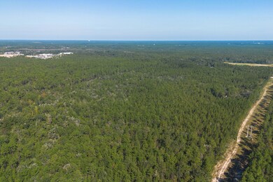 20 Acres In Freeport!