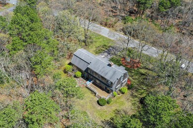 DJI_0619