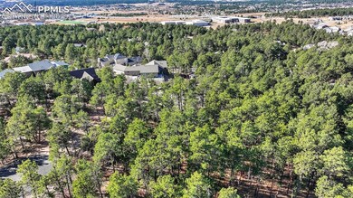 1380 Buckwood Ln, Woodmoor, CO 80132 - photo 6