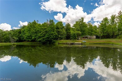 Beautiful view over the pond with the home in the distance among the trees.Just under an acre pond stocked with catfish, bass, blue gill and a goldfish named Nemo.