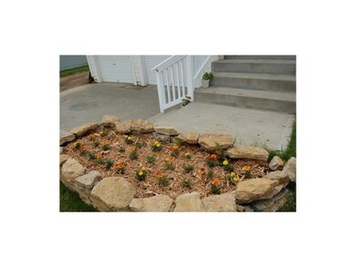 Fresh summer flowers just planted!