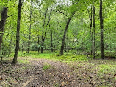 LOT 44 Synacia Dr, Mineral Bluff, GA 30559 - photo 7