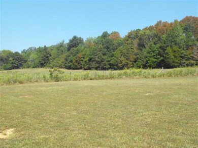 1169 Hurricane Creek Rd, Stewart, TN 37175 - photo 4