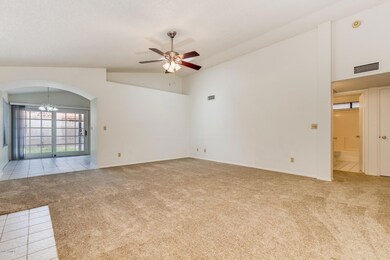 0003-Cypress - 109 (3)