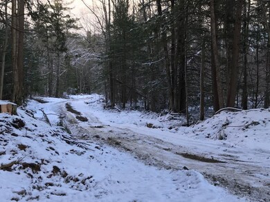 11 Conner Pond Rd, Center Ossipee, NH 03814 - photo 7