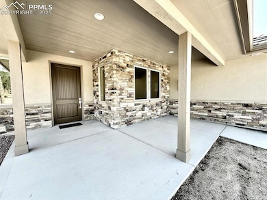 3145 Promise Point, Colorado Springs, CO 80921 - photo 2