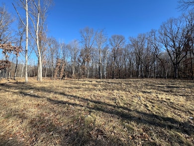 14775 Stutz St NE, Ham Lake, MN 55304 - photo 5