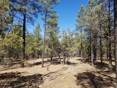 1301 S Jimson Loop