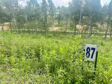 87 Rodeo Dr, Corbin, KY 40701 - photo 2