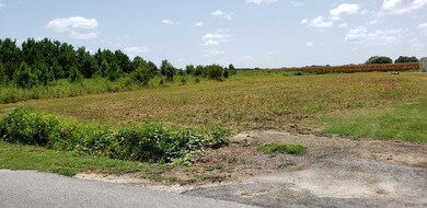 Tbd Ralph Bell Rd, Summerton, SC 29148 - photo 5