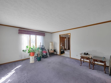 10-web-or-mls-2520-mccutcheon-rd