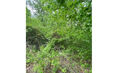 Additional View