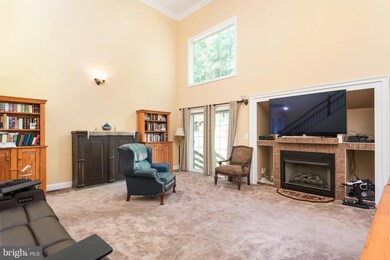 91 Battle Mountain Rd, Amissville, VA 20106 - photo 6