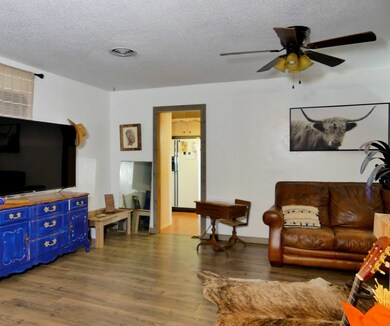 1305 SE 5001, Andrews, TX 79714 - photo 4