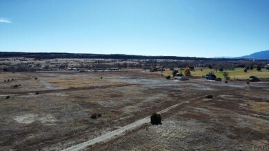 1229 Little Snake Dr, Colorado City, CO 81004 - photo 7