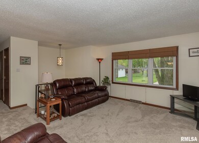 917 Northbrook Dr, Davenport, IA 52806 - photo 4